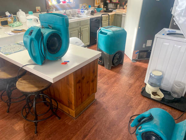 24/7 water damage repair in TX