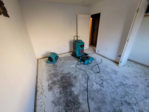 Best Flood damage cleanup  in Buchanan Dam, TX