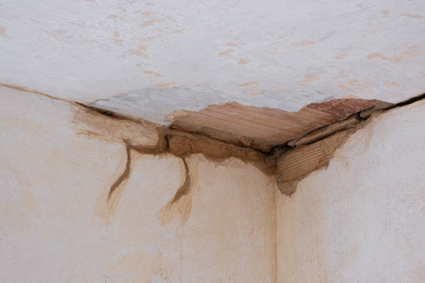 Best Water damage restoration near me  in Buchanan Dam, TX