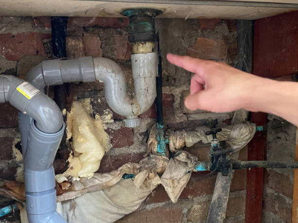 Best Professional water damage repair  in Buchanan Dam, TX