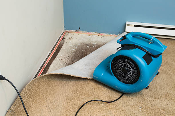 Best Basement water damage restoration  in Buchanan Dam, TX